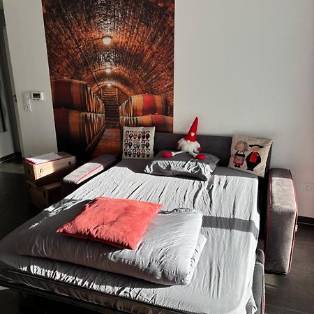 Le Riesling Colmar Centre Charmant Appartement Avec Terrasse Et Parking Gratuit Exterior foto