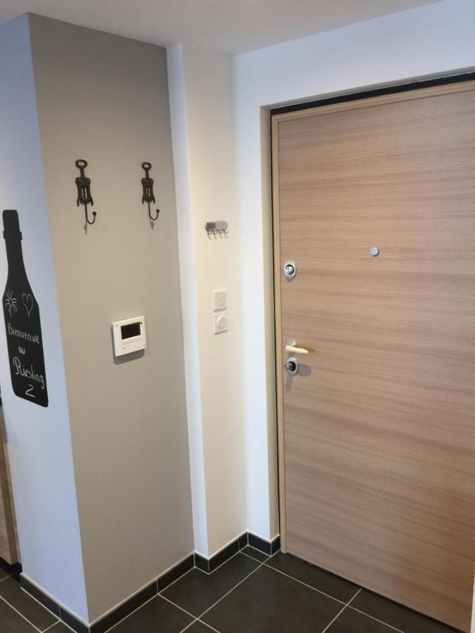 Le Riesling Colmar Centre Charmant Appartement Avec Terrasse Et Parking Gratuit Exterior foto